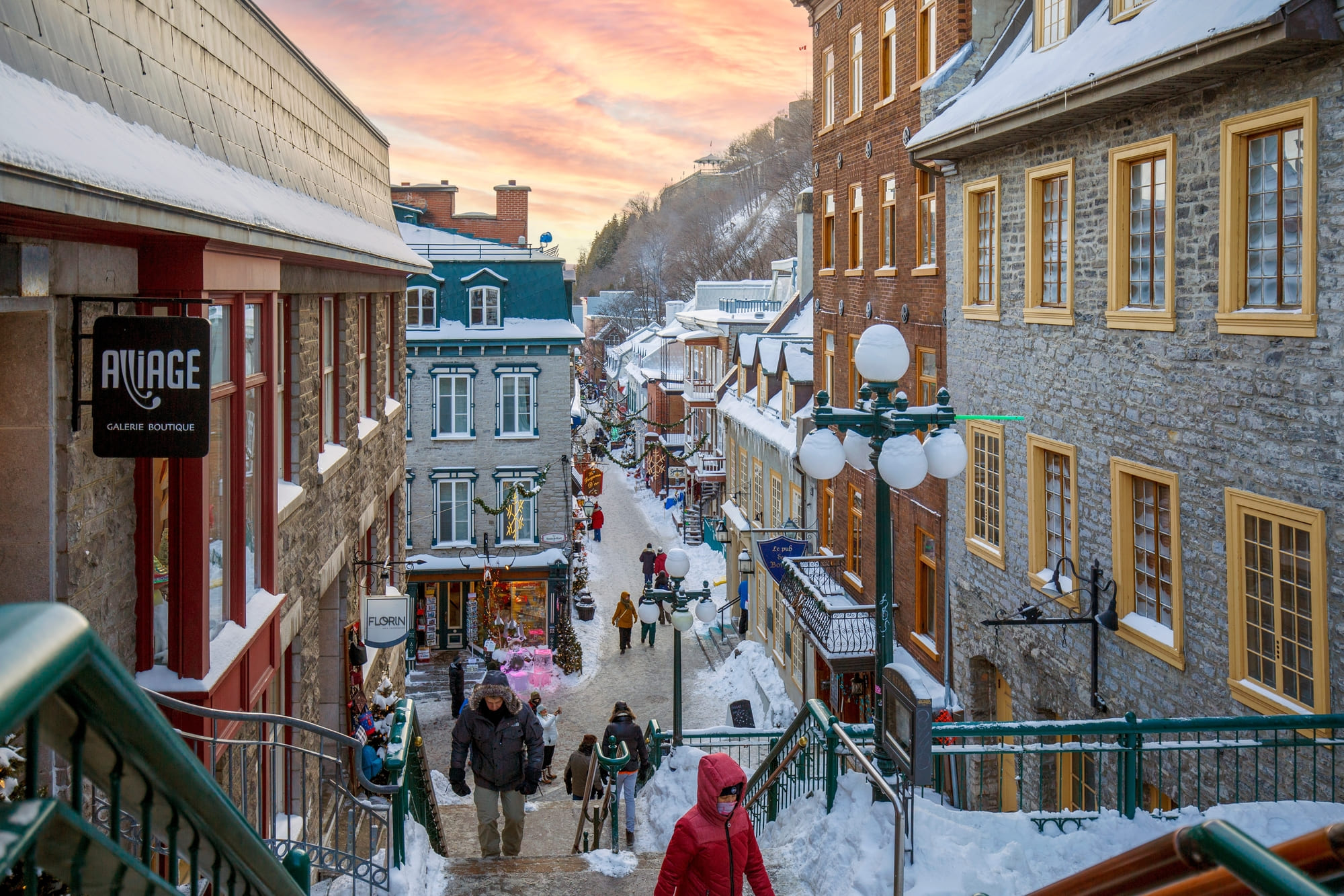 Shutterstock 2269043657